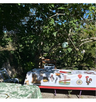 55 - PORTUGAL - Fête Nationale