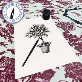 63 - Toiles de Jouy / Beautiran- TAUPE