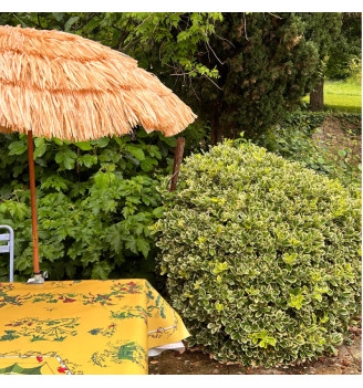 TOILE CIREE chinoiserie jaune